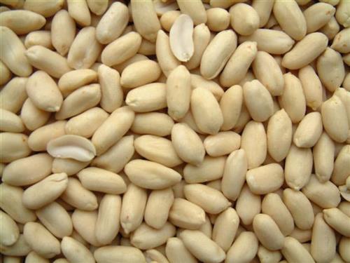 Blanched (Whole) Bold Peanuts